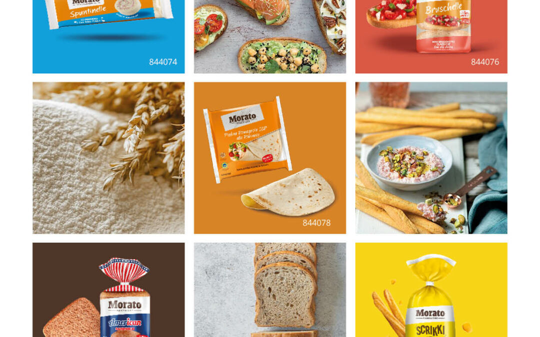 Focus • Morato Pane