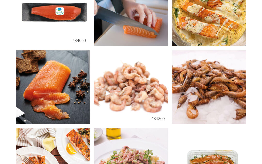 Focus • QuisQuater