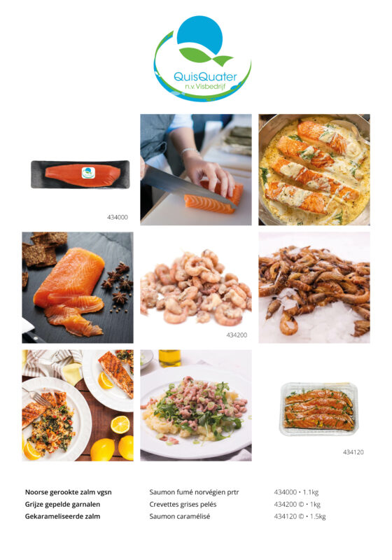 Focus • QuisQuater